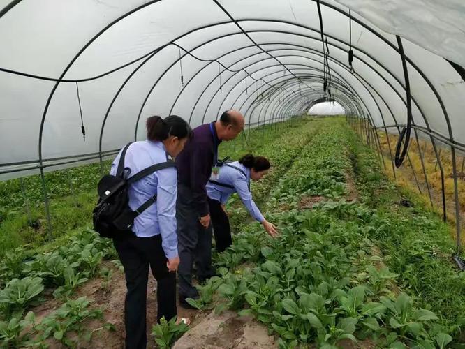 美兰区农产品质量检测流动服务站协同海口市农业检验检测预警防控中心